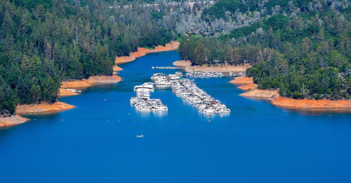 Shasta Lake